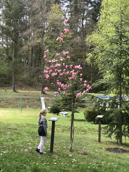 ARBORETUM w SPLEJKOWO