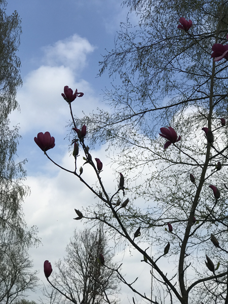 ARBORETUM w SPLEJKOWO