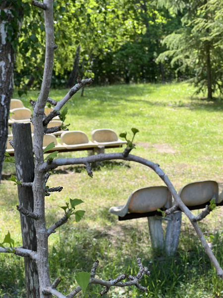 ARBORETUM w SPLEJKOWO